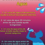 La Importancia de Tomar Agua Diariamente para tu Salud