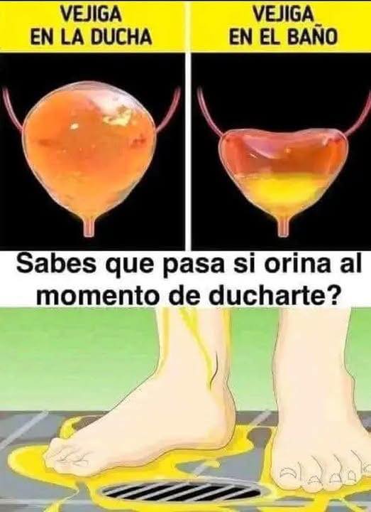 Vejiga en la Ducha vs. En el Baño