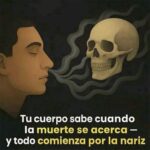 La Sabiduría del Cuerpo: Cómo Percibe la Muerte a Través del Olfato
