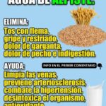 Los Increíbles Beneficios del Agua de Alpiste: Salud, Bienestar y Más