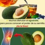La Semilla de Aguacate: Un Poderoso Remedio Natural para el Dolor e Inflamación