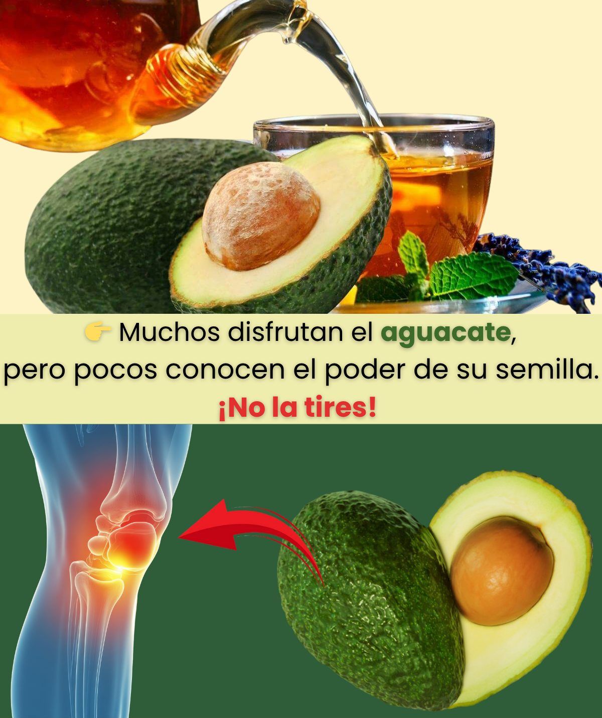 Semilla de aguacate y sus beneficios