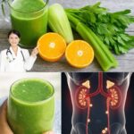 7 Remedios Naturales para Fortalecer tus Riñones y Recuperar Energía