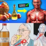 Los Increíbles Beneficios de Consumir Vinagre de Sidra de Manzana a Diario