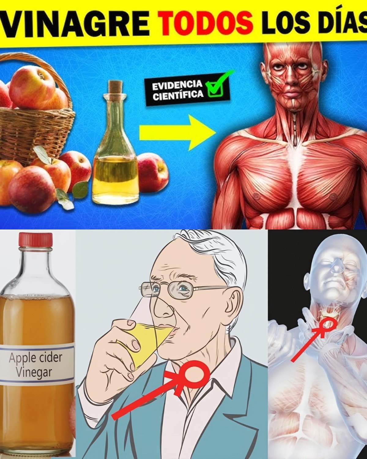 Vinagre de manzana y sus beneficios