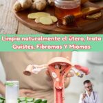 Remedios Naturales para Limpiar el Útero y Tratar Quistes, Fibromas y Miomas