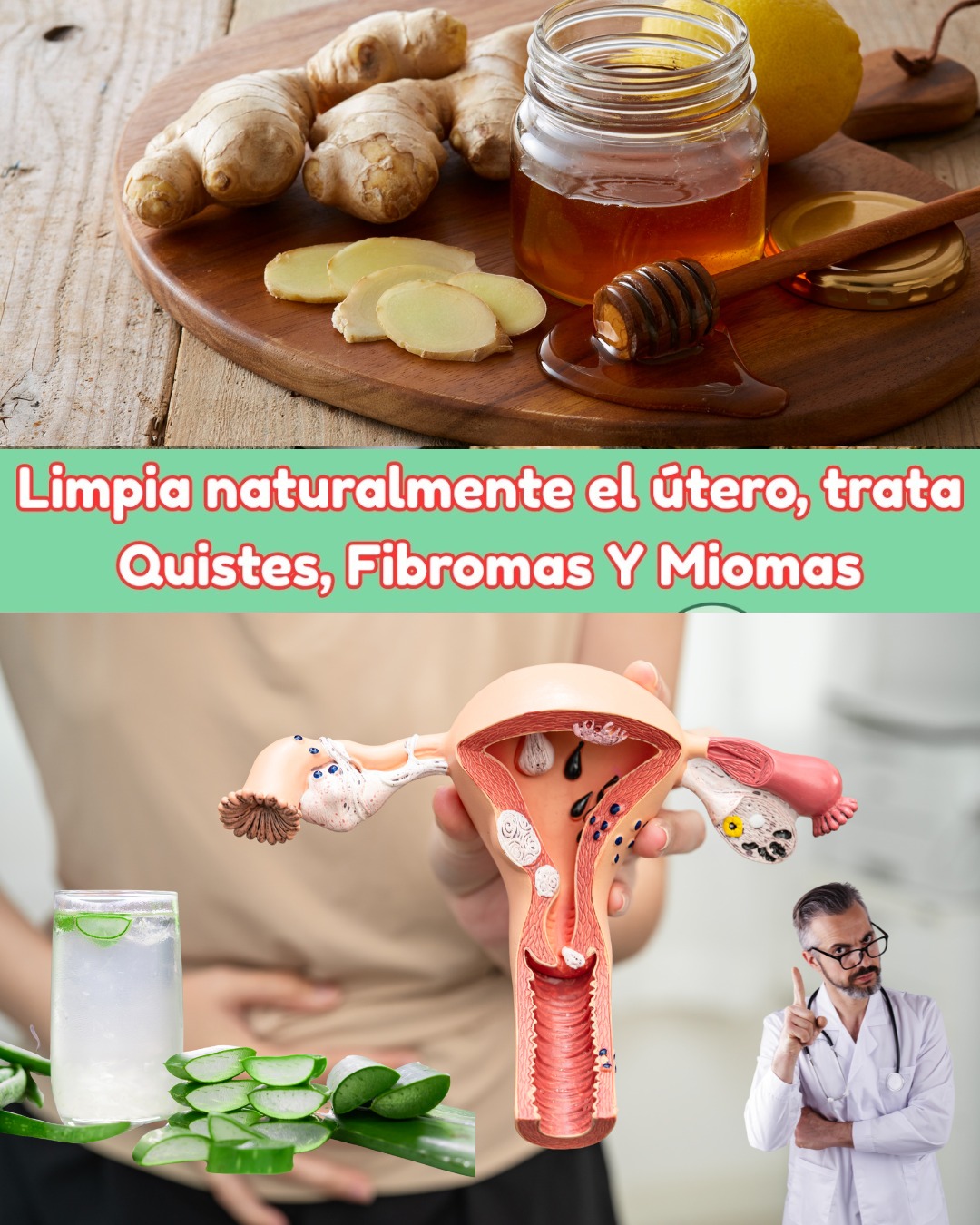 Remedios naturales para quistes y miomas