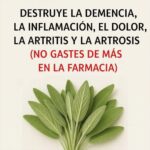 Salvia: Tu Aliada Natural Contra la Demencia, Artritis y Migrañas