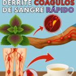Las Mejores Hierbas que Disuelven Peligrosos Coágulos de Sangre en las Piernas