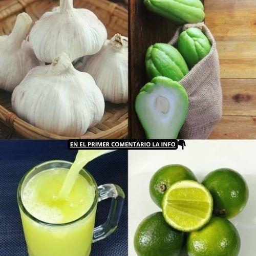 Chayote y ingredientes naturales