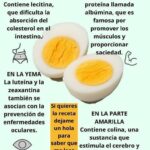 Beneficios del Huevo Hervido: Un Superalimento Esencial para Tu Salud