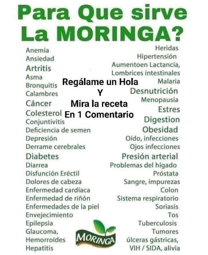 Ensalada de Moringa