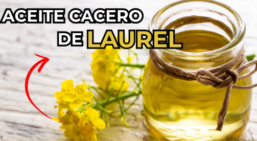 Aceite de laurel