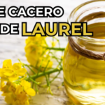 Aceite Casero de Laurel: El Alivio Natural para el Dolor